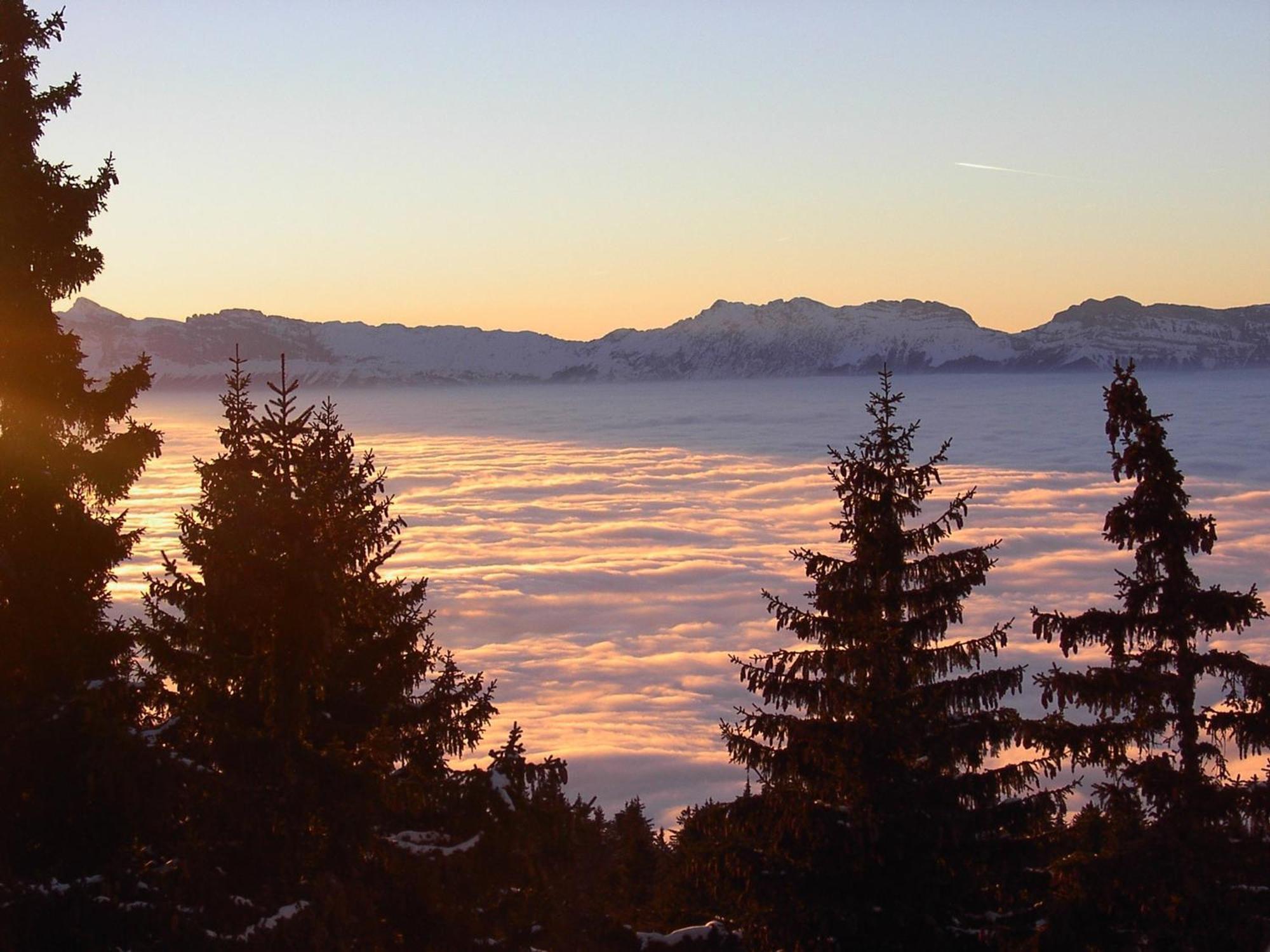 Appartement Cosy 50M², Au Pied Des Pistes, Balcon Ouest, Animaux Acceptes - Chamrousse 1750 - Fr-1-549-143 エクステリア 写真
